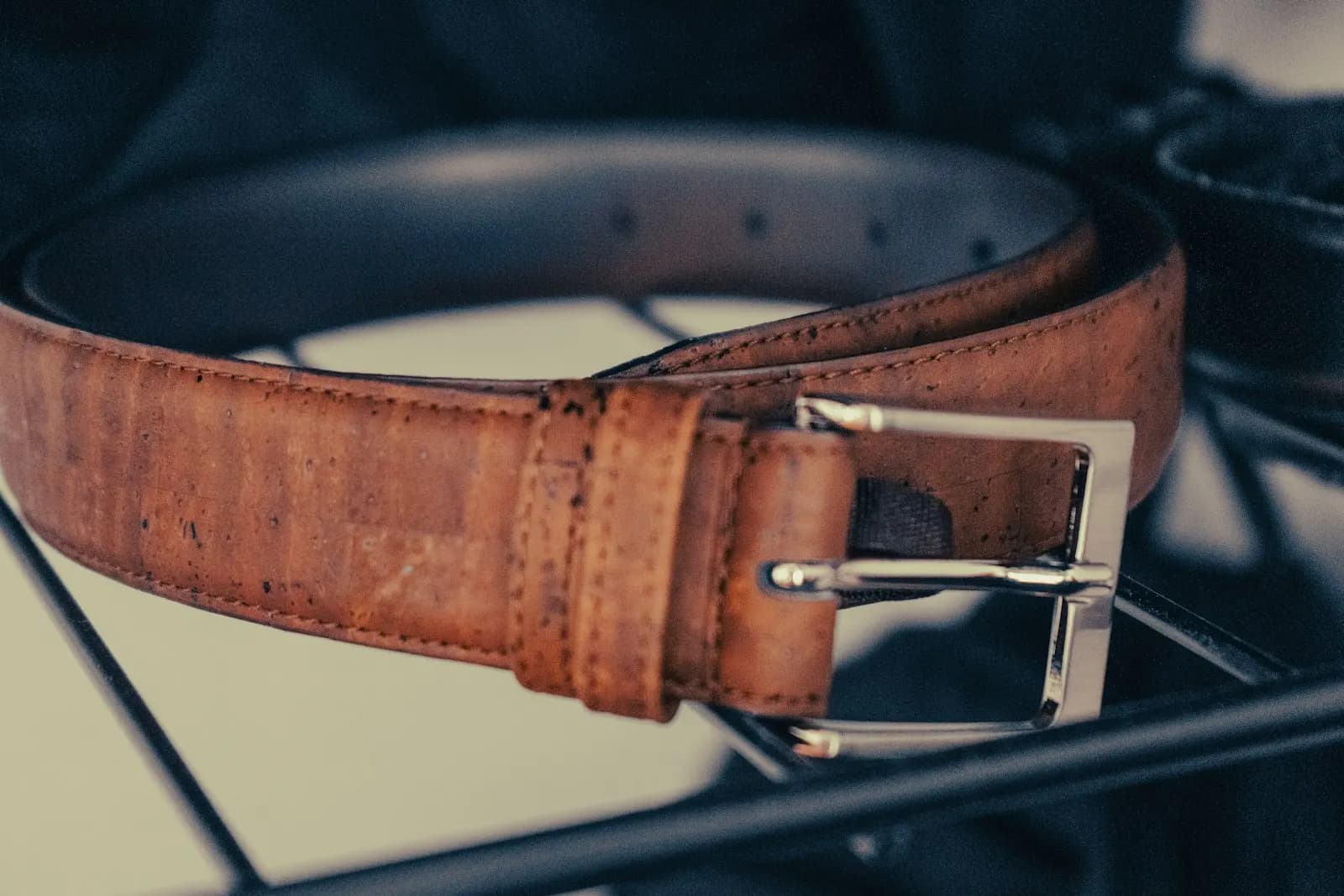 House Belt accessories front view